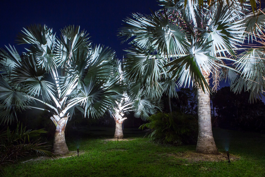 Let There Be Light… Outside!