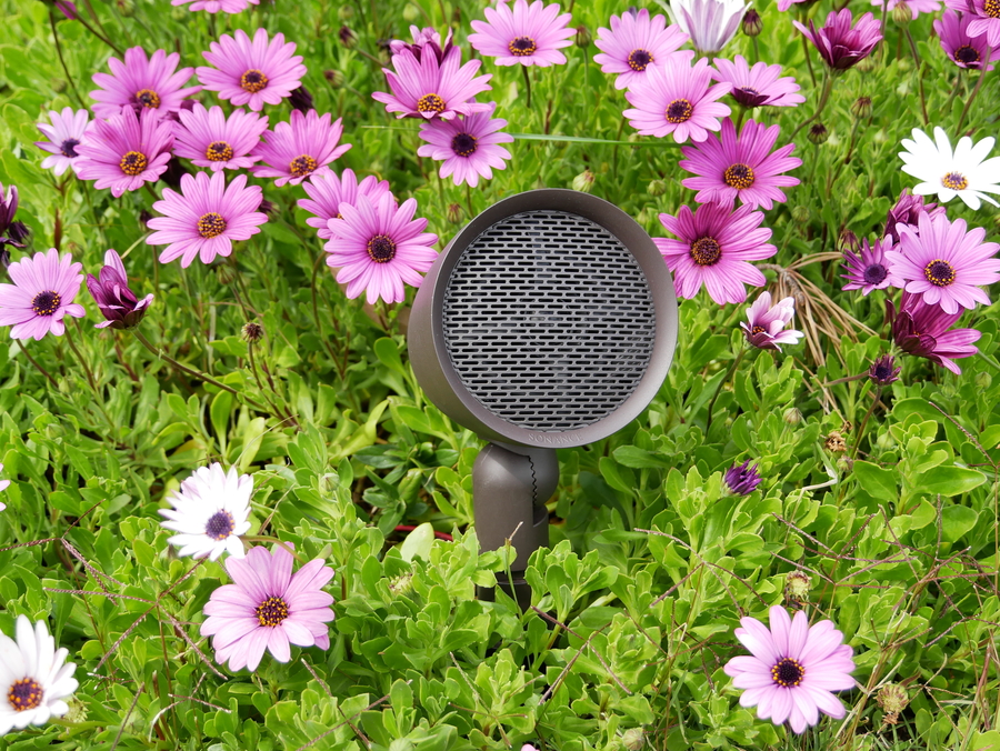 Prep Your Summer Home with an Outdoor Speaker Installation